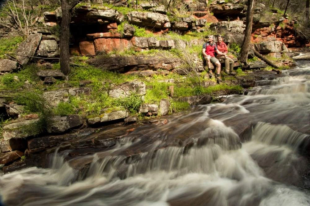 Adelaide Nature Spring Best Spring Experiences in Australia
