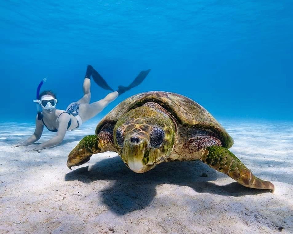australias-best-long-weekends-coral-coast-western-australia
