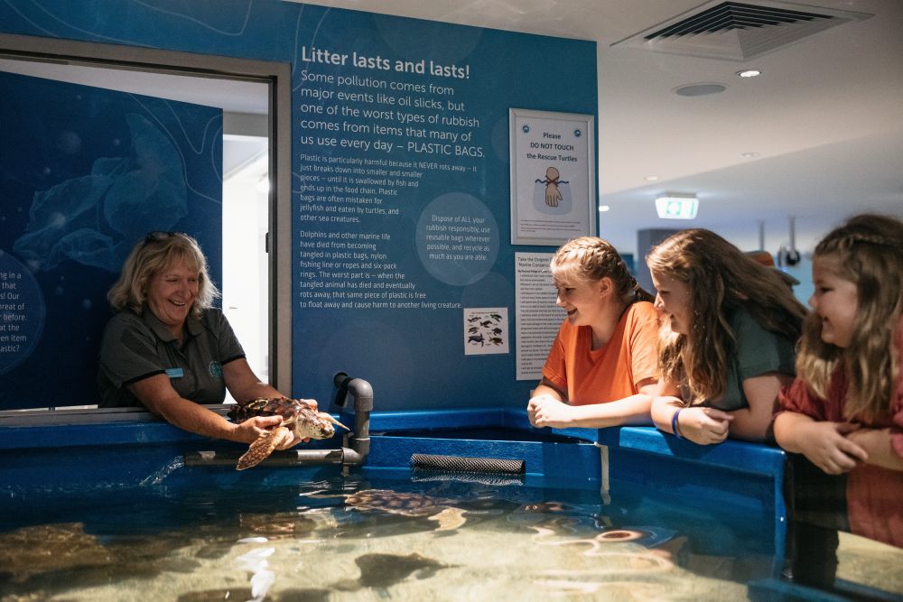 People admiring animals in tank at Dolphin Discovery Centre