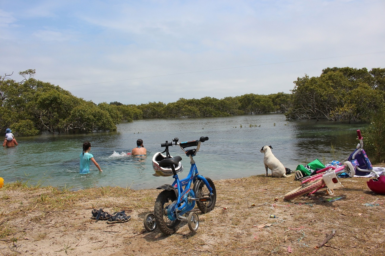 holiday island campground