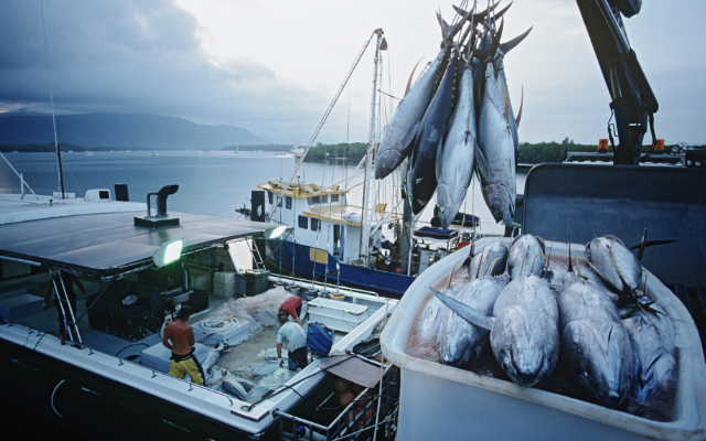 best-fishing-spots-in-australia