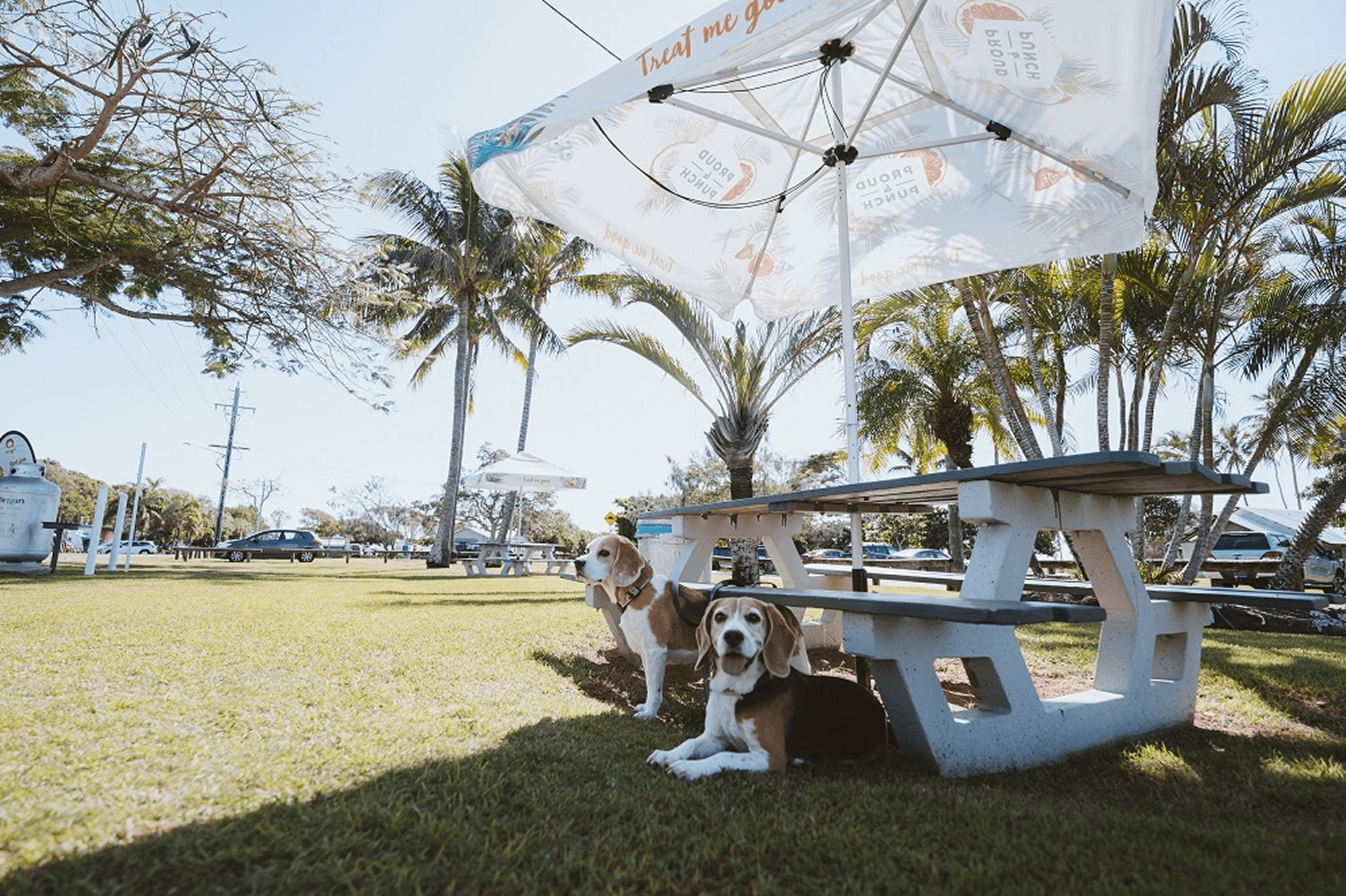Discovery Parks - Bargara