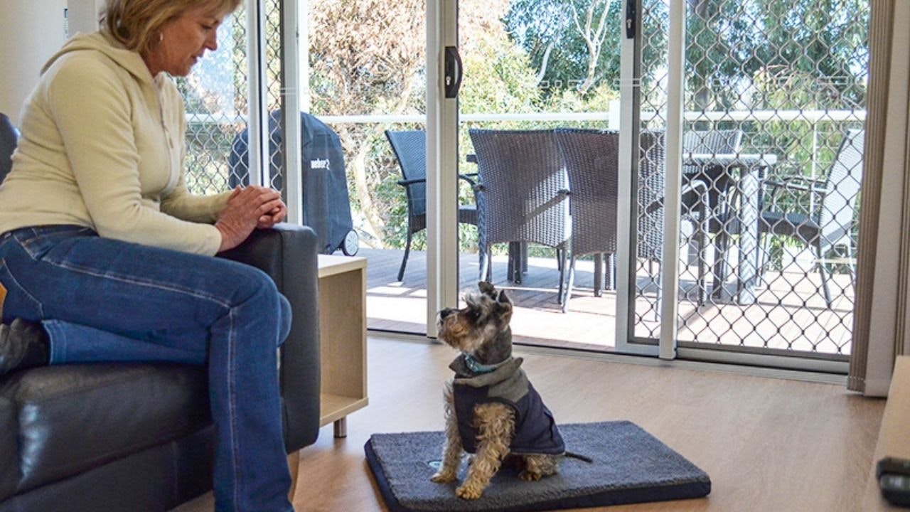 A pet owner and its dog at a Discovery Parks cabin