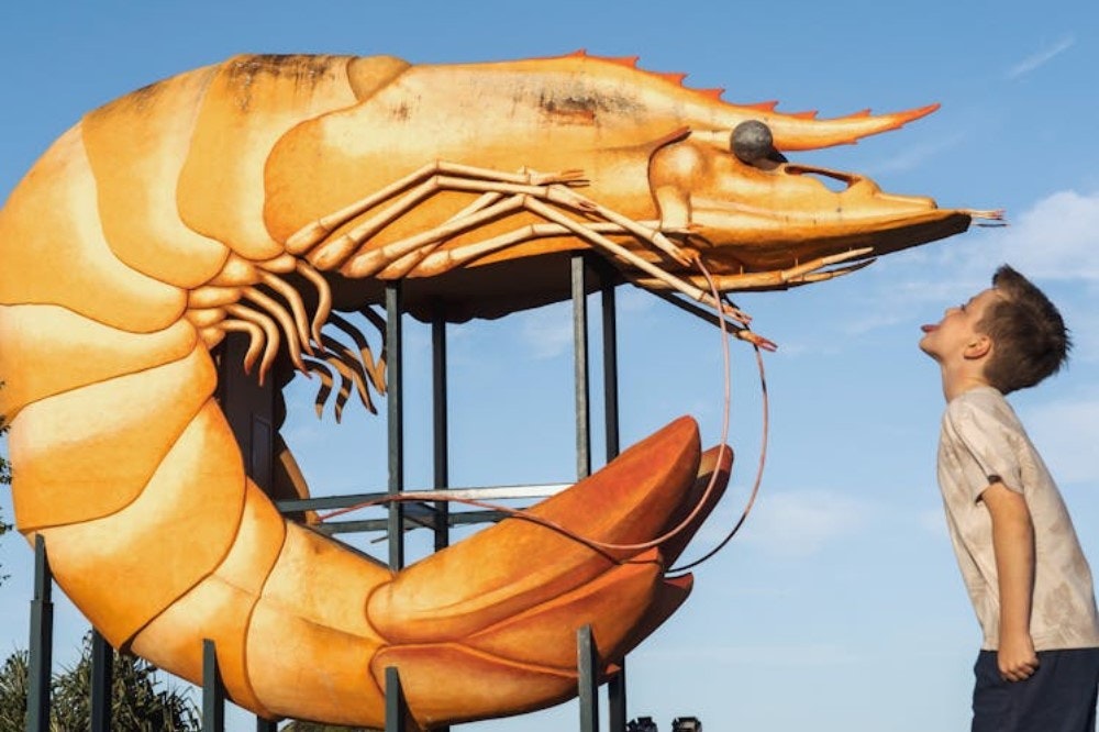 The Big Prawn