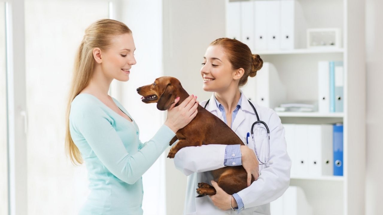 A pet owner and its dog at the vet