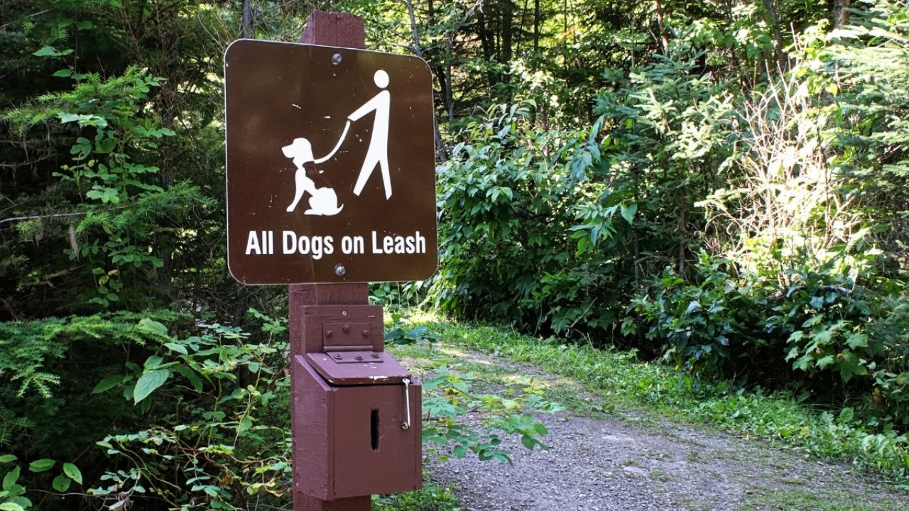 A park sign reading "All dogs on leash"