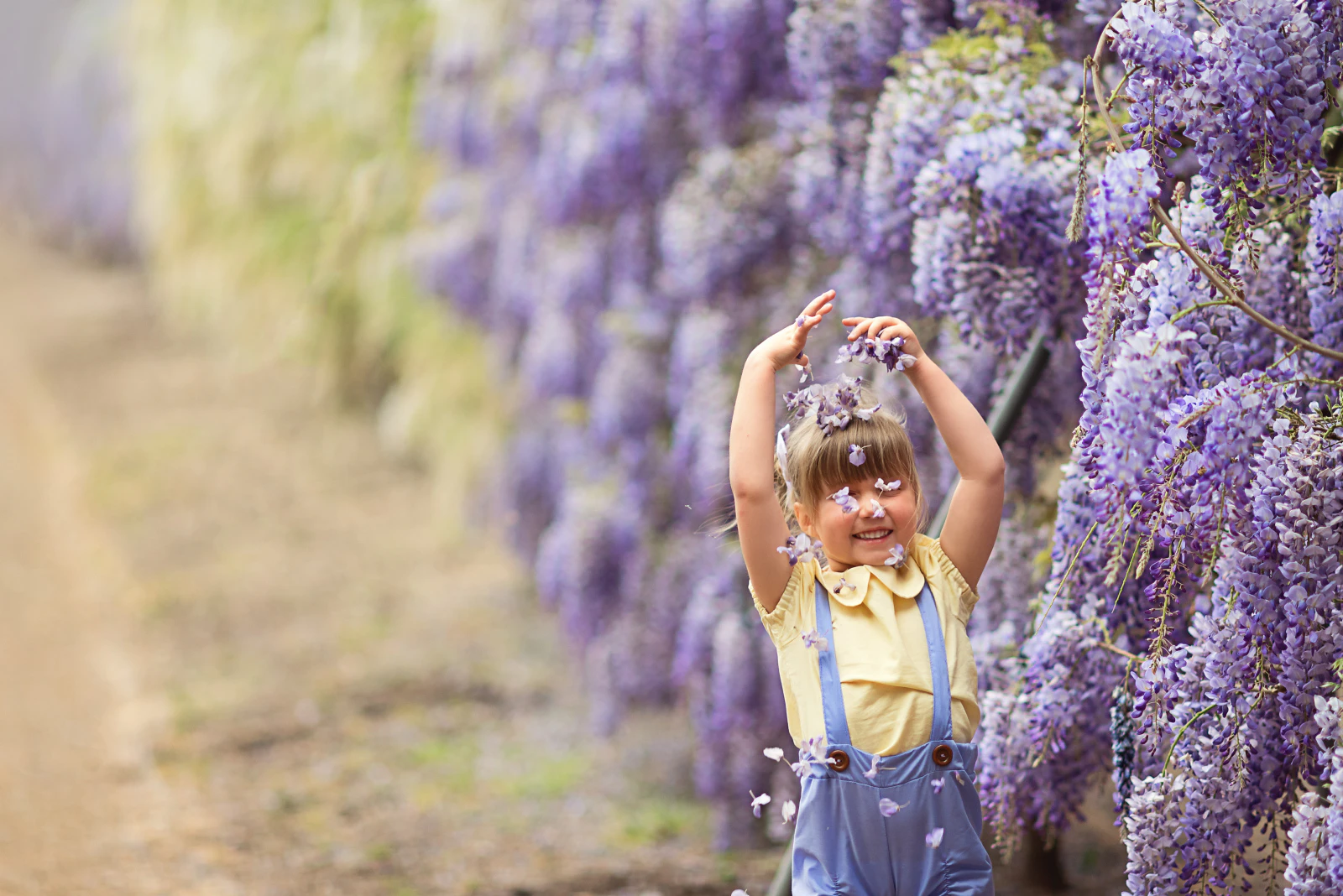 Best Spring Experiences in Australia