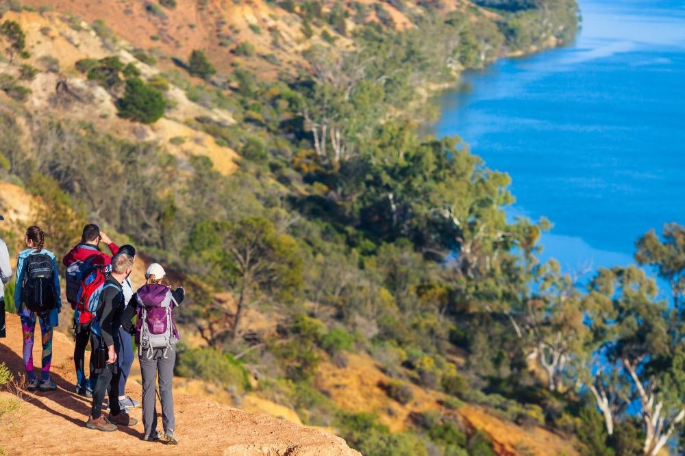 2 people overlooking Headings Cliff Lookout