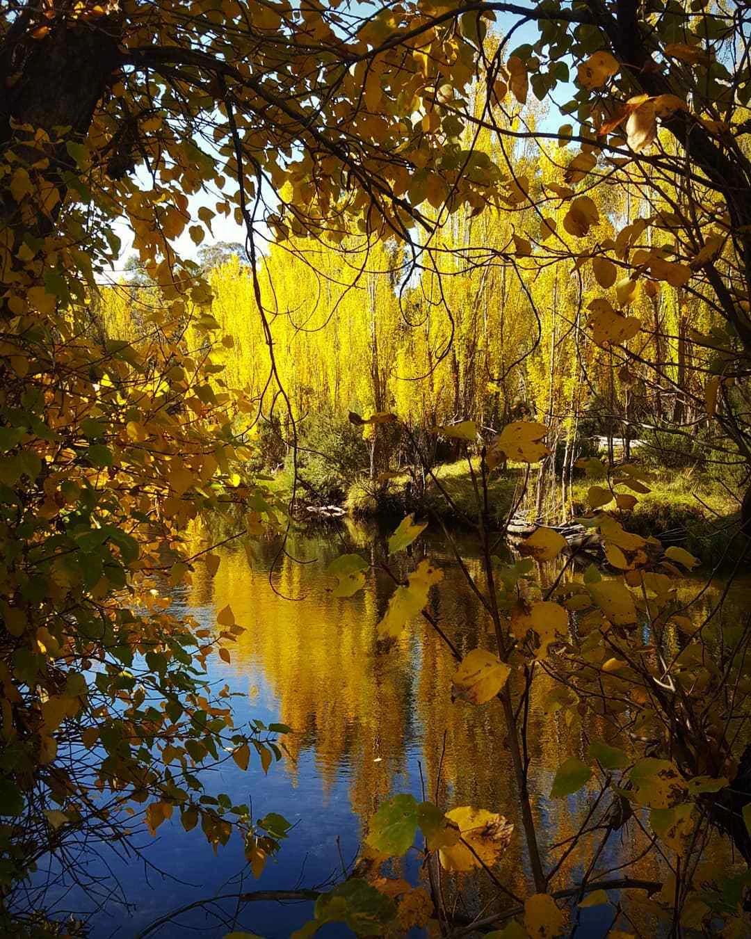 Perth Autumn Where to see Austalia's Most Breathtaking Autumn Foliage