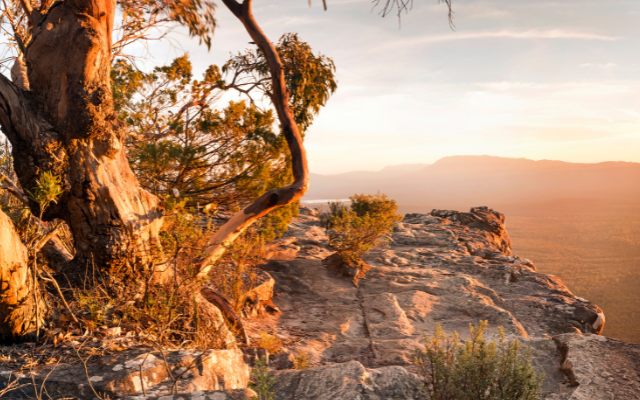 australian-family-holidays-this-summer