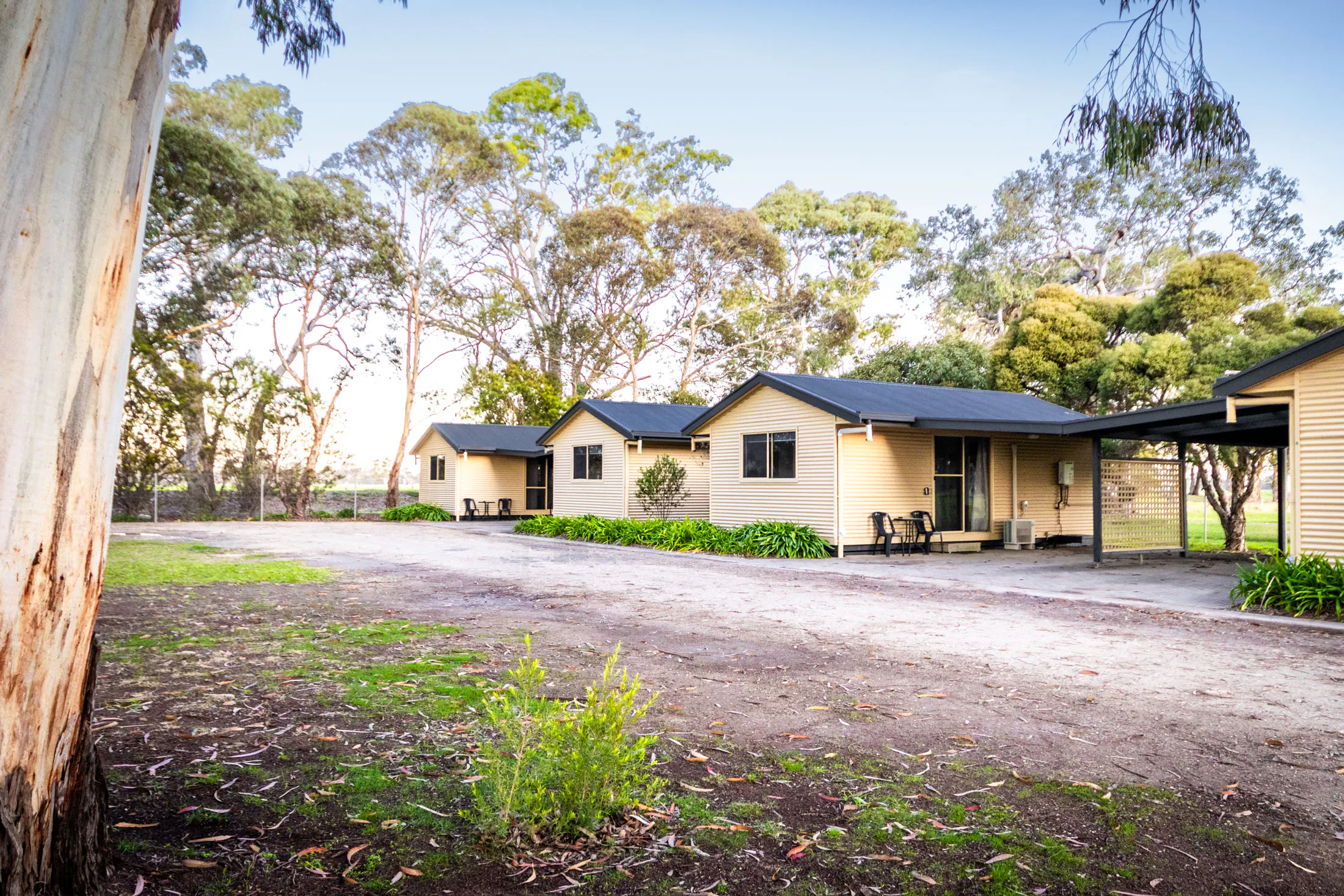 Penola Coonawarra Caravan Park - 1