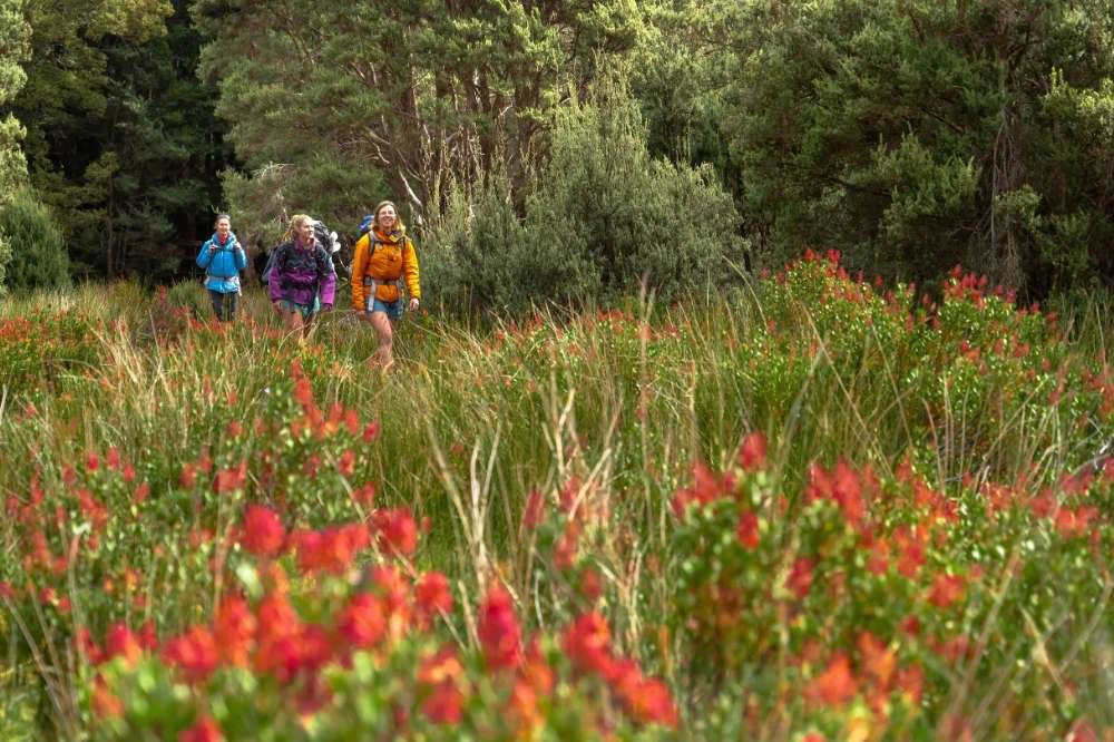 Best Spring Experiences in Australia