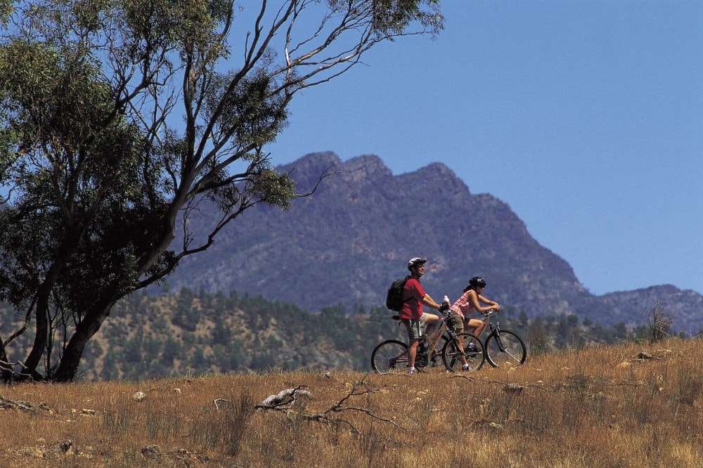 Old Wilpena Station Loop
