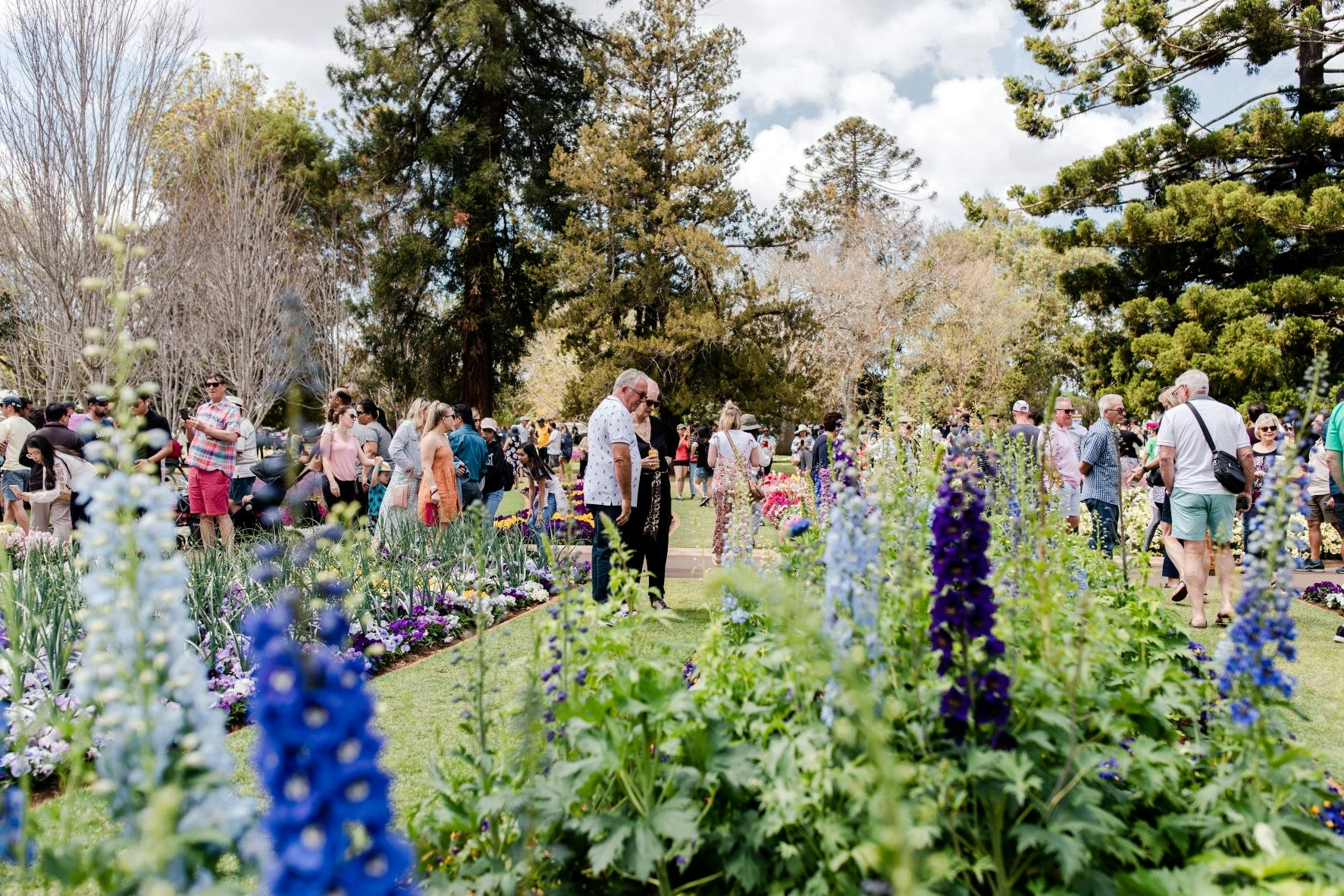 Best Spring Experiences in Australia