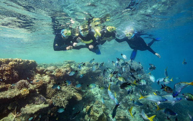 australian-road-trip-itineraries-great-barrier-reef