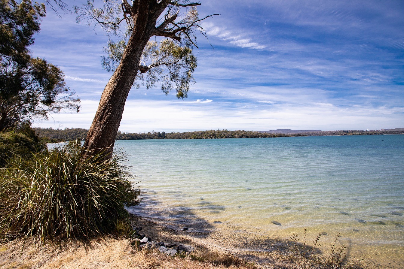 Discover Beauty Point Tourist Park: A Hidden Gem for Nature Lovers