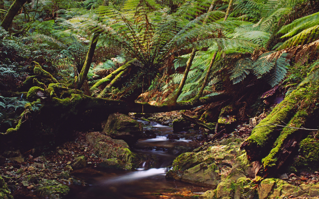 nsw-best-camping-spots-moruya
