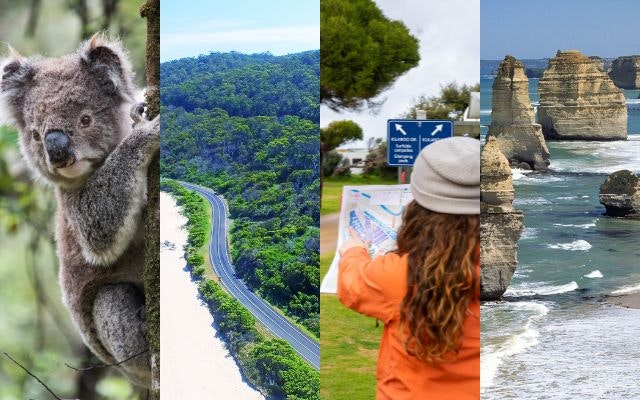 ultimate-great-ocean-road-guide