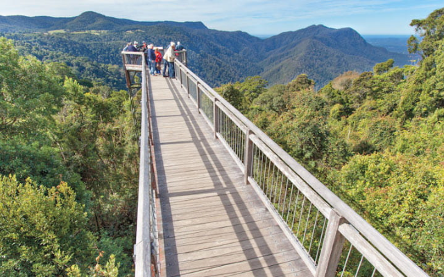 australian-road-trip-itineraries-Nymboi-Binderay-National-Park