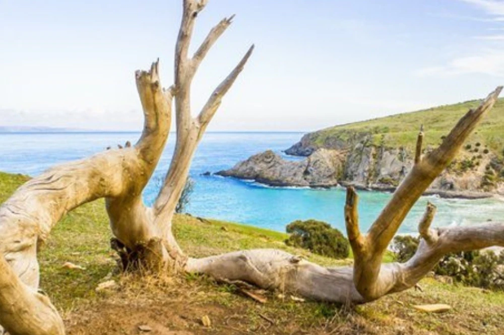 Top 30 Things to Do in Victor Harbor