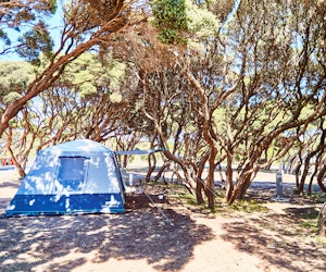Bush Camping Sites - No Dogs Allowed