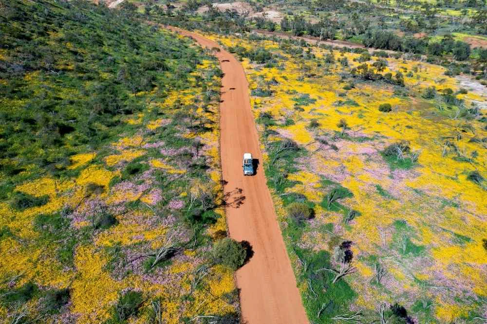 Best Spring Experiences in Australia