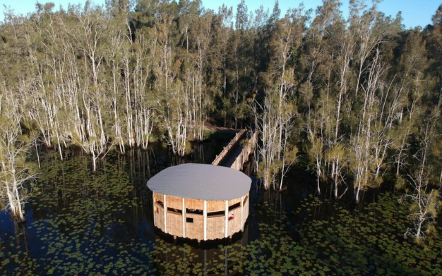 australian-road-trip-itineraries-cattai-wetlands