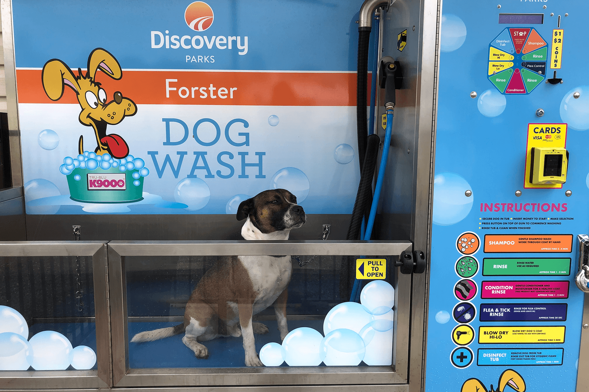 Discovery Parks - Forster
