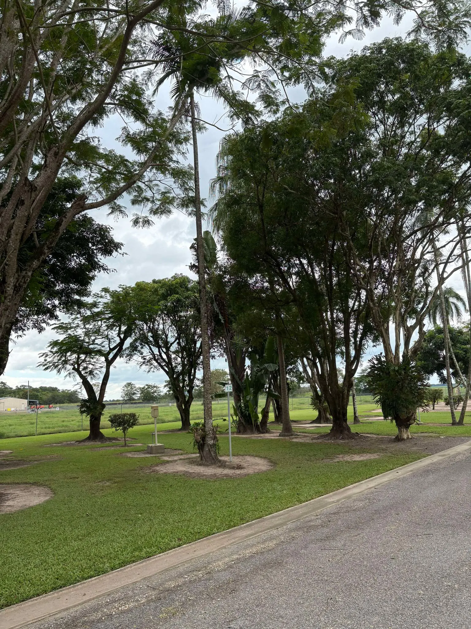 Ingham Tourist Park - 1