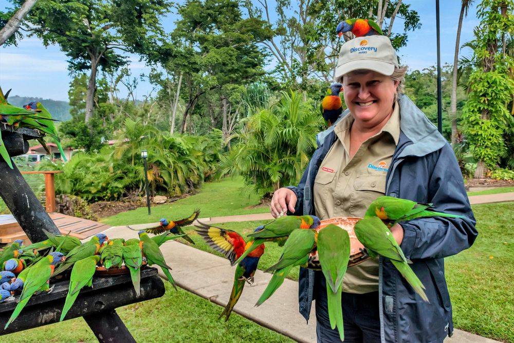 Airlie Beach grounds staff Debbie surrounded by rainbow lorikeets