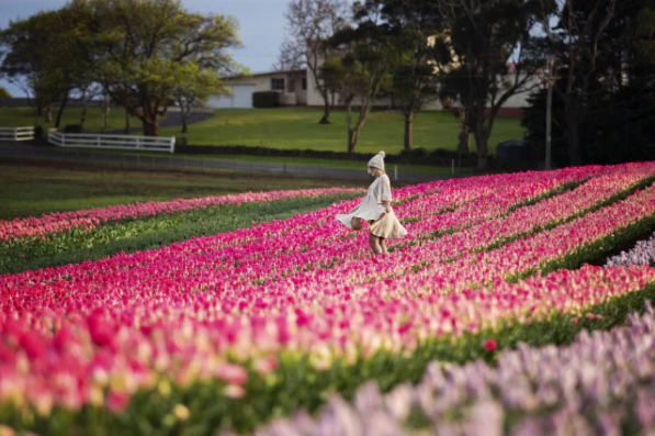 Best Spring Experiences in Australia